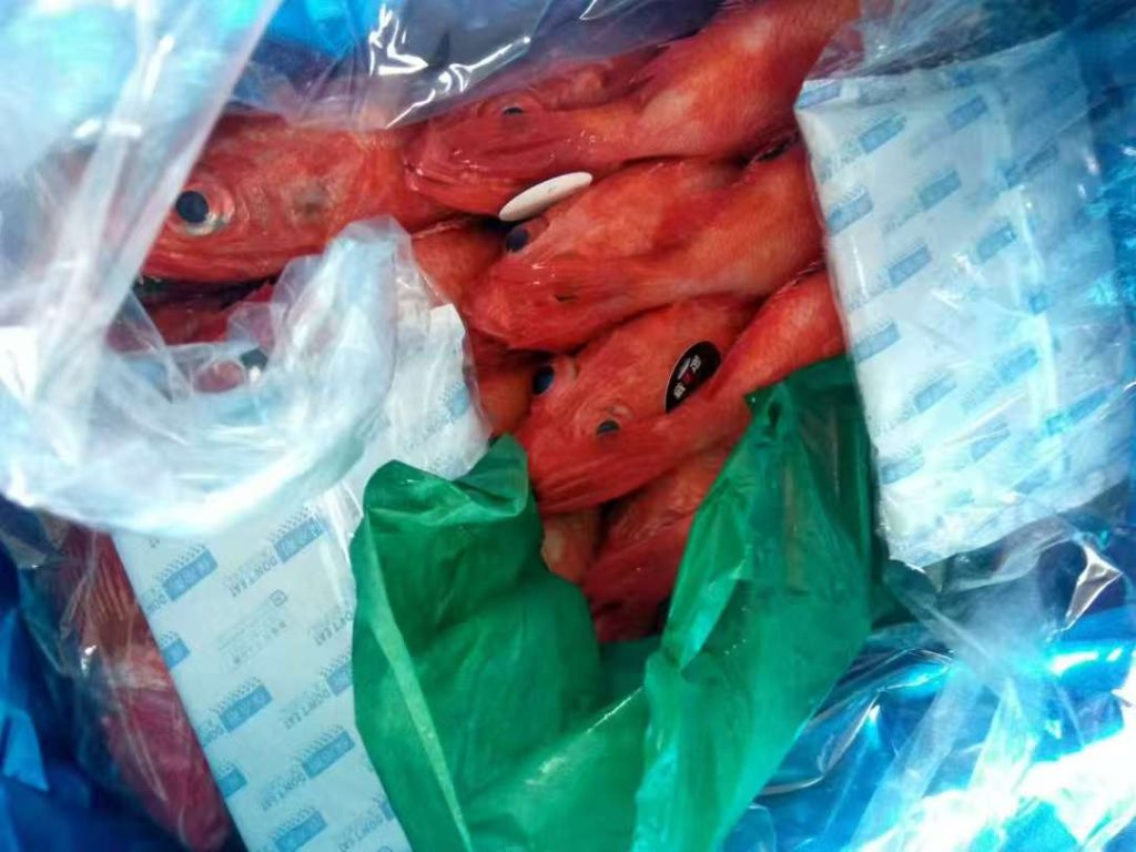 进口水产品展示图