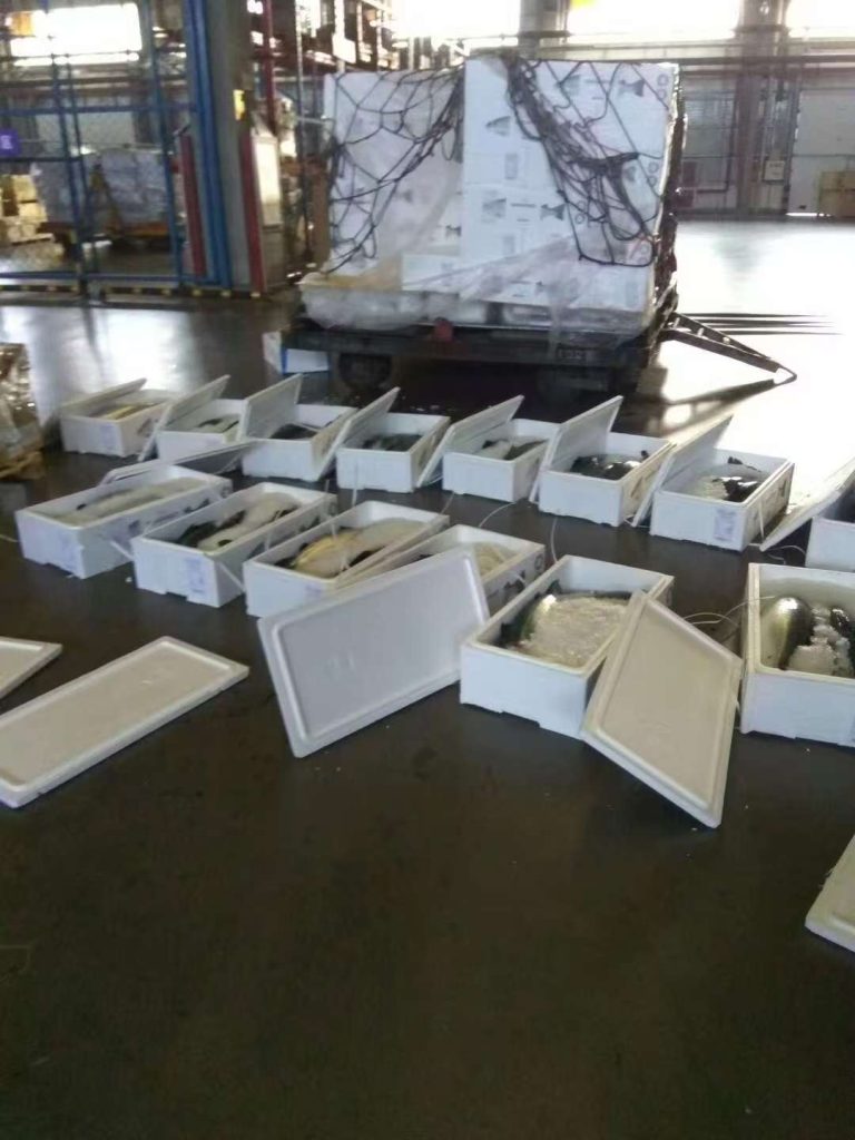 海鲜，进口海鲜产品展示