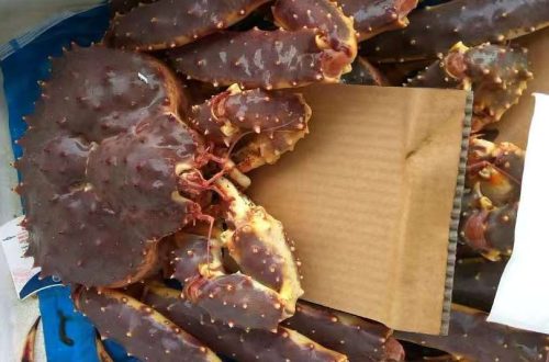 帝王蟹，进口帝王蟹产品展示