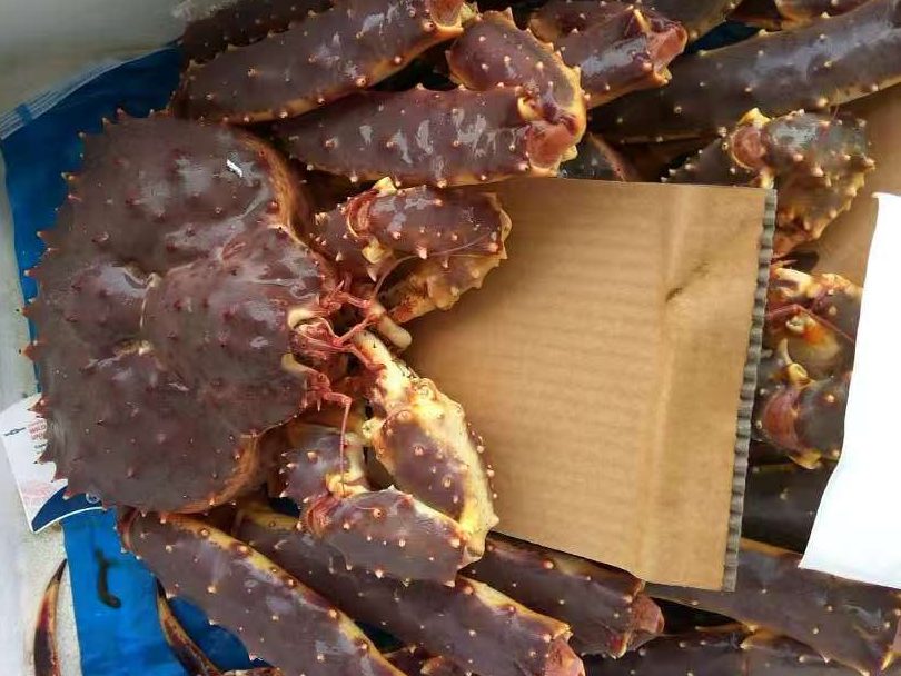 帝王蟹，进口帝王蟹产品展示