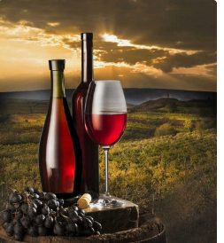 果酒，进口果酒展示图