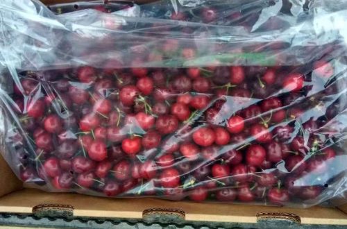 进口樱桃，产品展示图