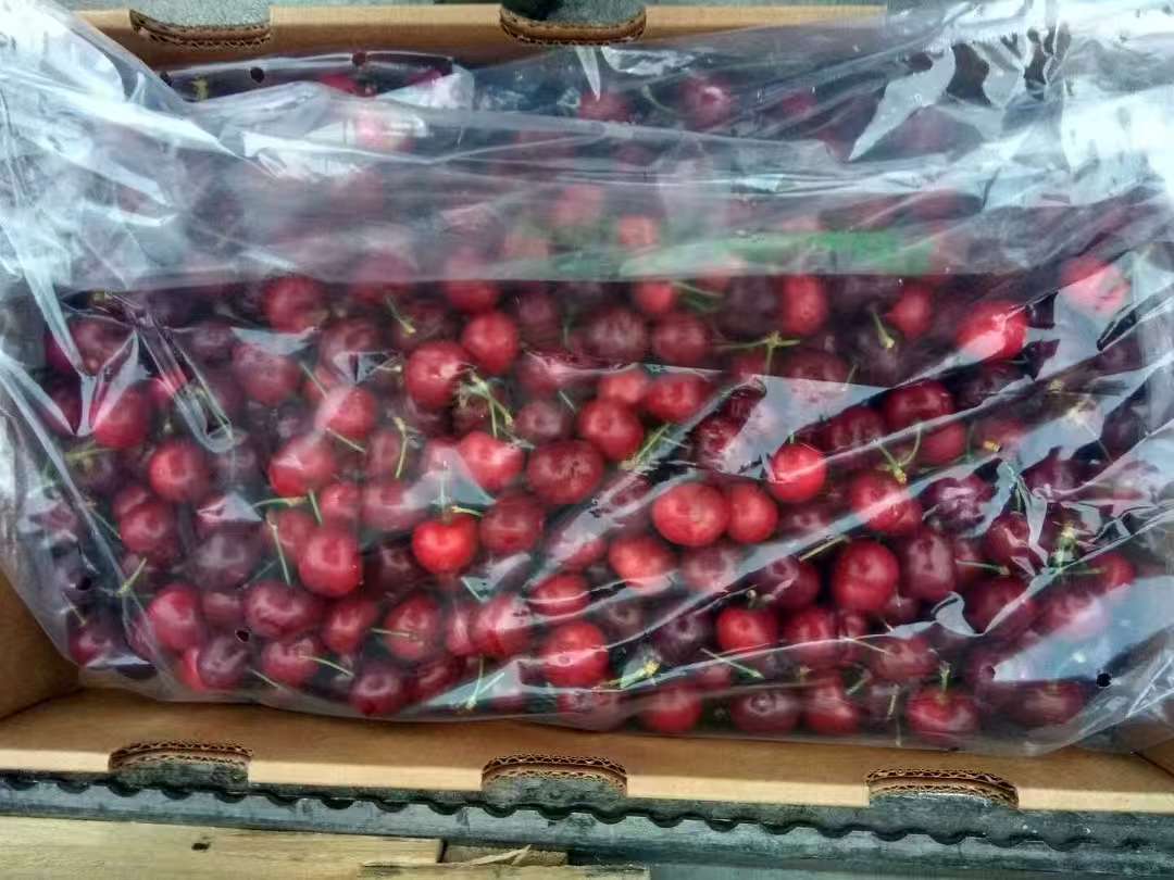 进口樱桃,产品展示图