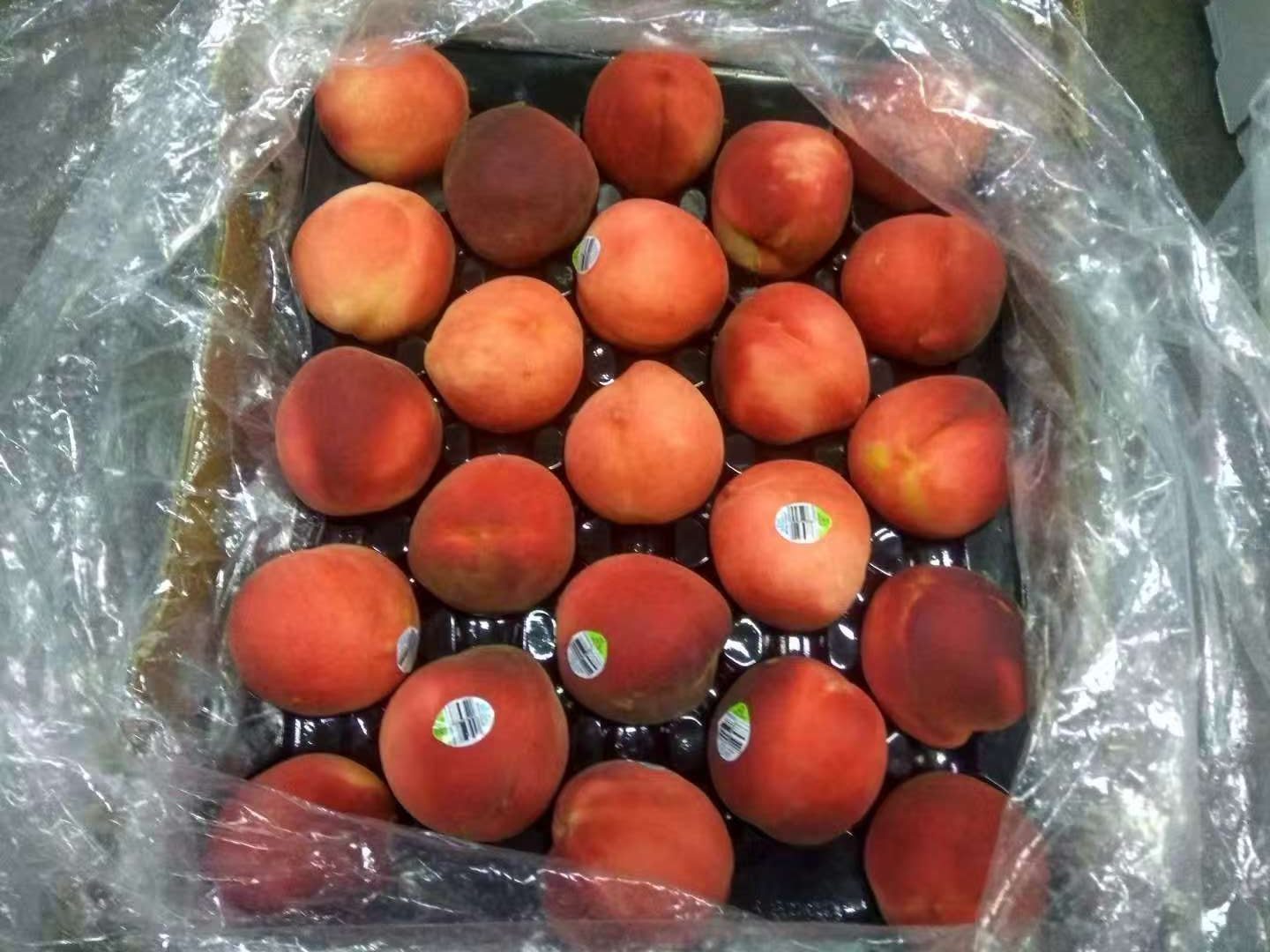 鲜桃子,产品展示图