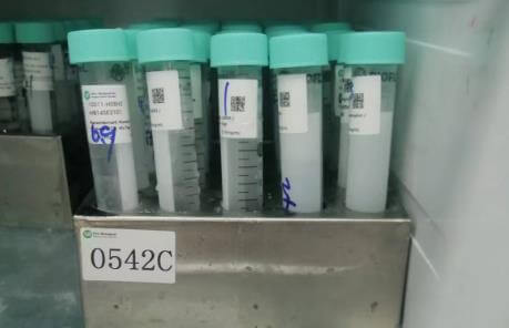 生物制品，抗体